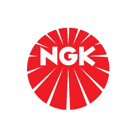 S5991909 Candele NGK SUZUKI V-Strom 1000 / XT 1000 2017 2020 RICAMBI - SPARE PARTS