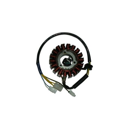 S163068 Statore APRILIA Scarabeo 150 (Rotax) 150 1999 2002 RICAMBI - SPARE PARTS