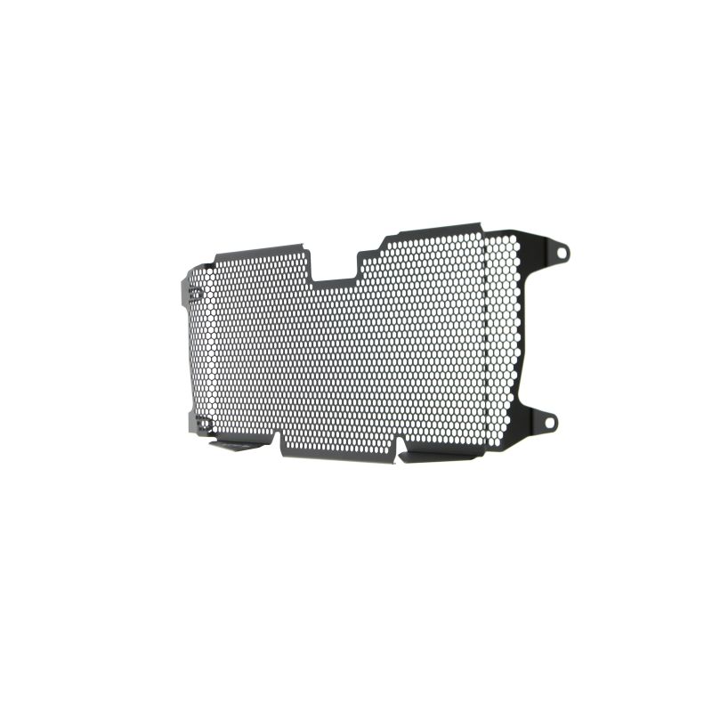 BMW R 1250 RS 2022+ Griglia Radiatore