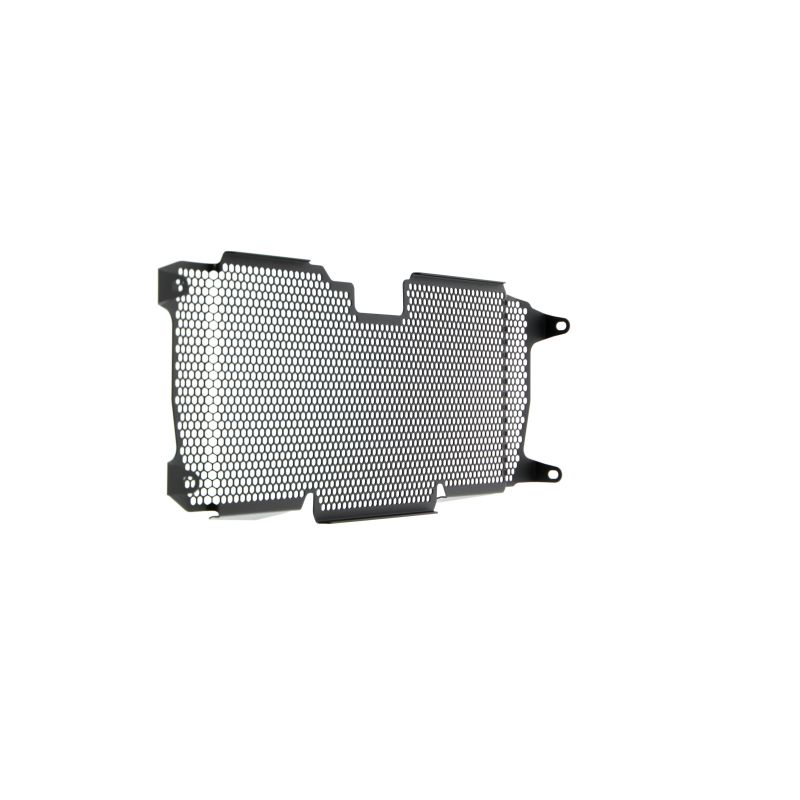 BMW R 1250 RS 2022+ Griglia Radiatore