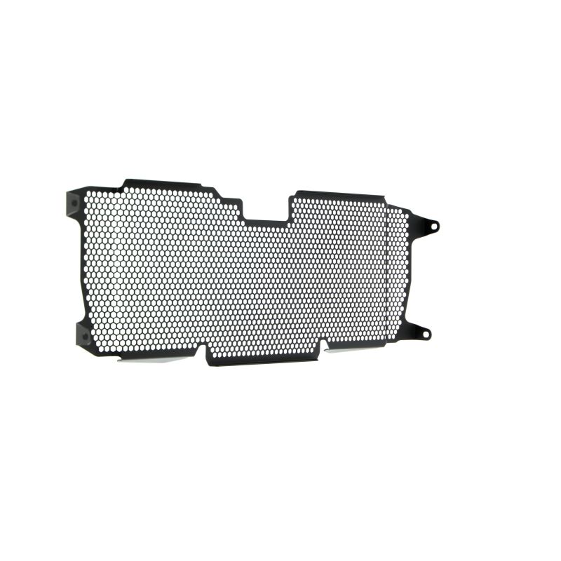 BMW R 1250 RS 2022+ Griglia Radiatore