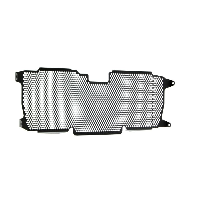 BMW R 1250 RS 2022+ Griglia Radiatore