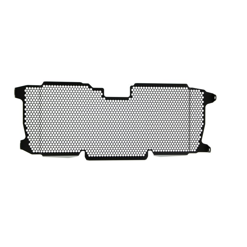 BMW R 1250 RS 2022+ Griglia Radiatore