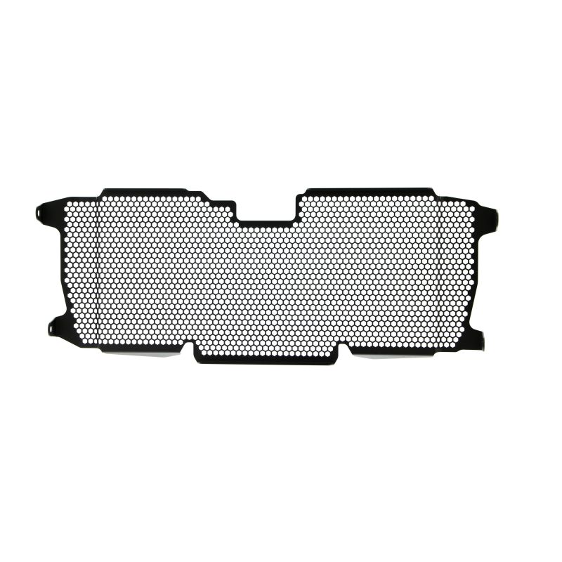 BMW R 1250 RS 2022+ Griglia Radiatore