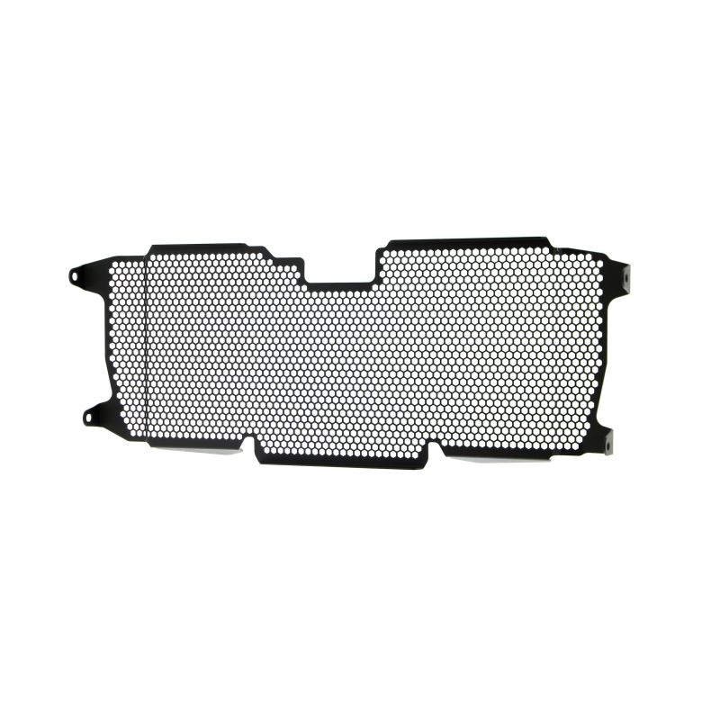 BMW R 1250 RS 2022+ Griglia Radiatore