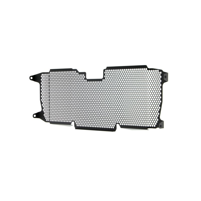 BMW R 1250 RS 2022+ Griglia Radiatore