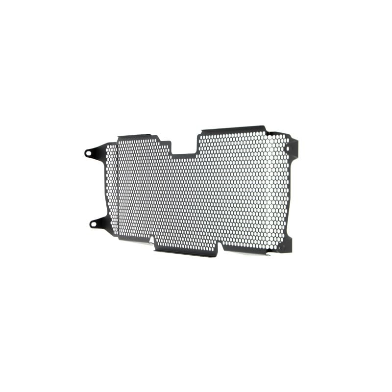 BMW R 1250 RS 2022+ Griglia Radiatore