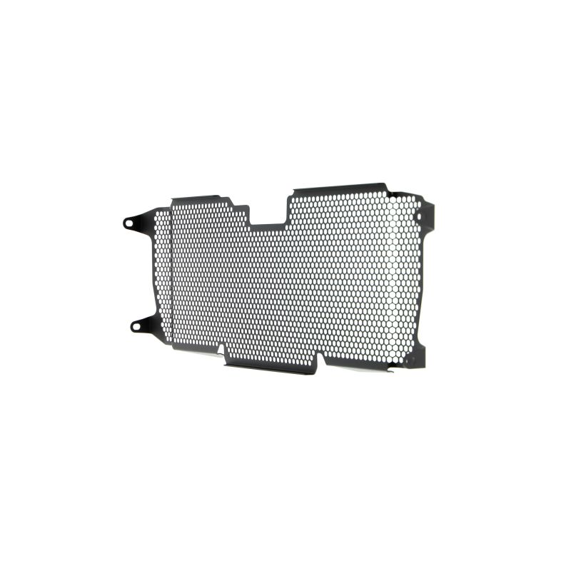 BMW R 1250 RS 2022+ Griglia Radiatore