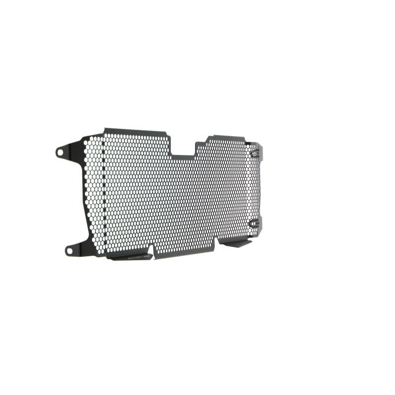 BMW R 1250 RS 2022+ Griglia Radiatore