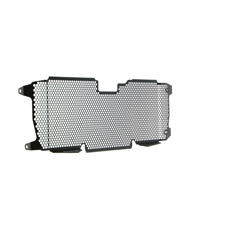 BMW R 1250 RS 2022+ Griglia Radiatore