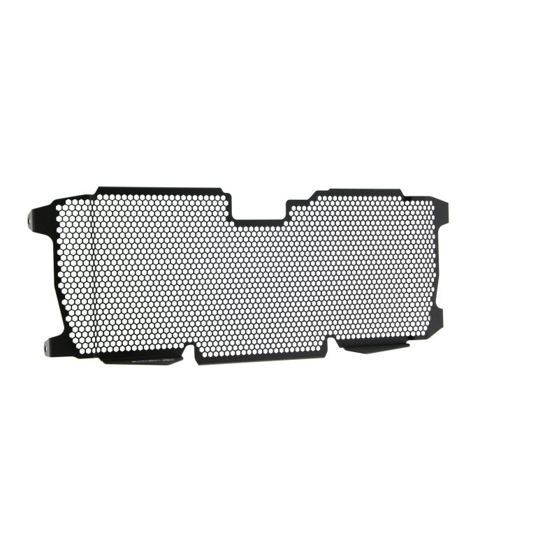 BMW R 1250 RS 2022+ Griglia Radiatore