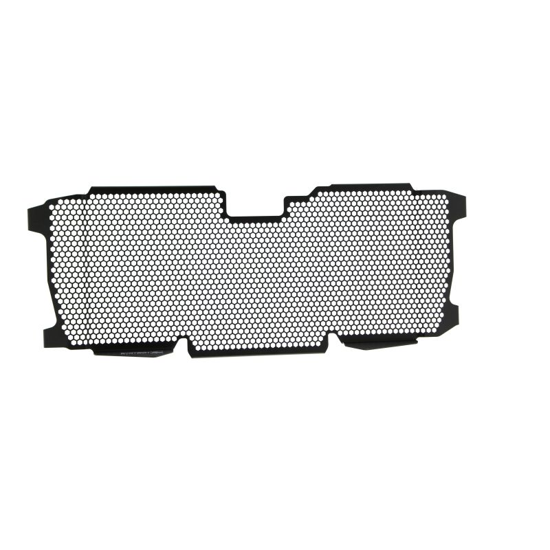 BMW R 1250 RS 2022+ Griglia Radiatore