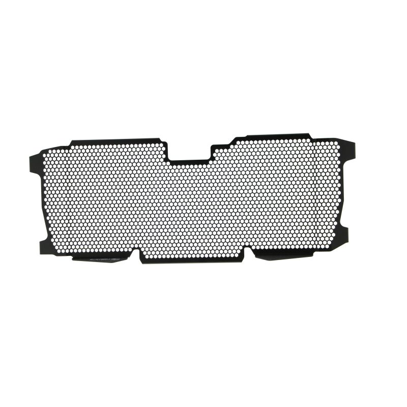 BMW R 1250 RS 2022+ Griglia Radiatore