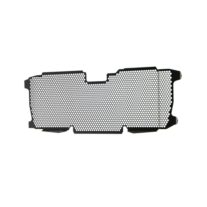 BMW R 1250 RS 2022+ Griglia Radiatore