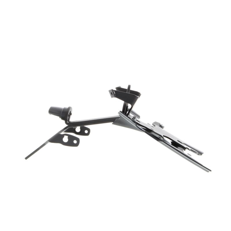 BMW R 1250 RS 2022+ Porta Targa