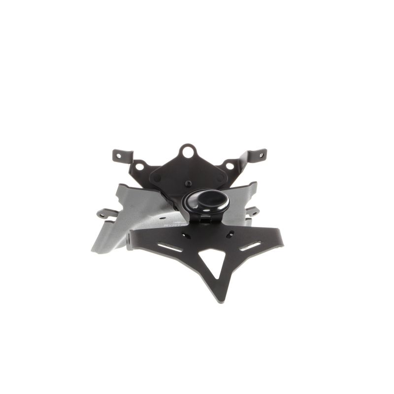 BMW R 1250 RS 2022+ Porta Targa