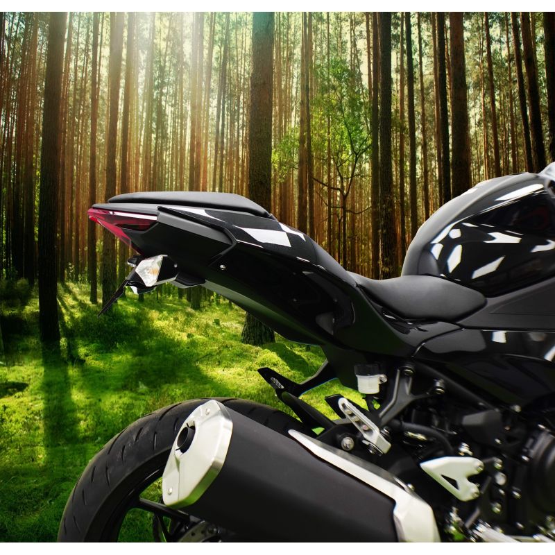 Kawasaki Ninja 500 2024+ Porta Targa