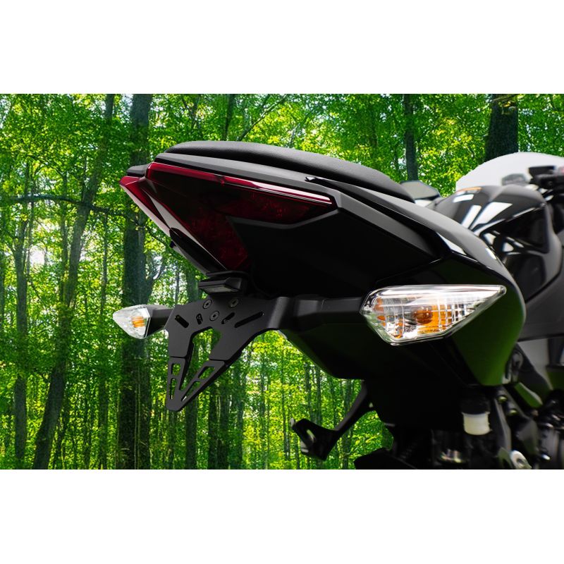 Kawasaki Z500 2024+ Porta Targa