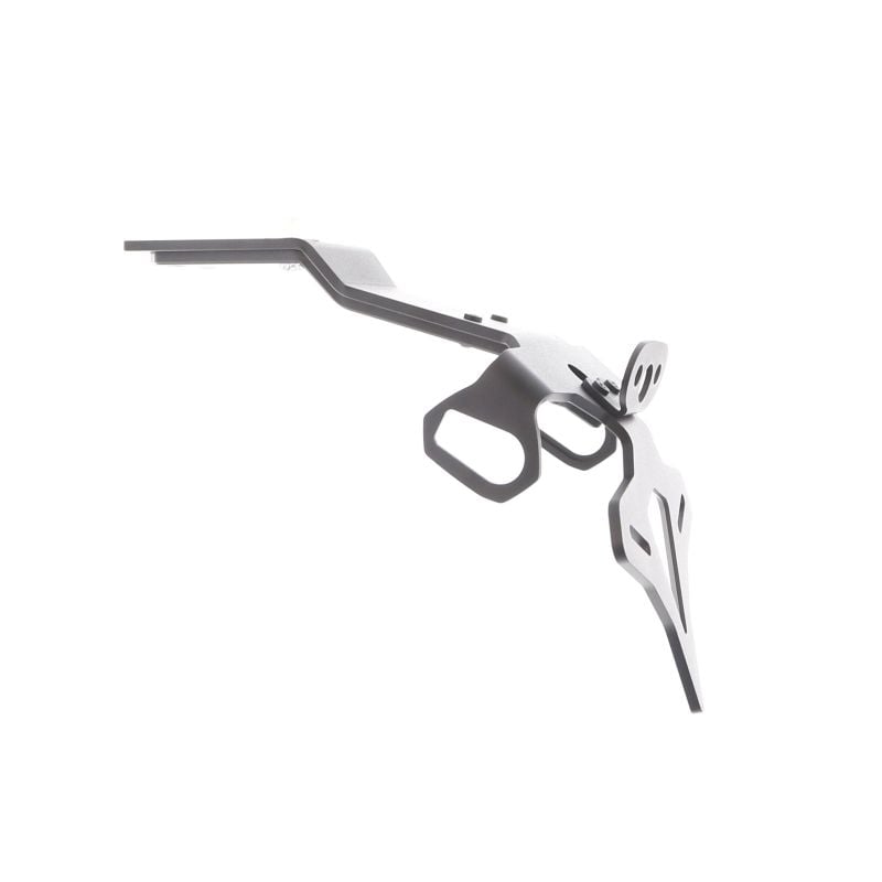 Kawasaki Ninja 1100SX Performance 2025+ Porta Targa