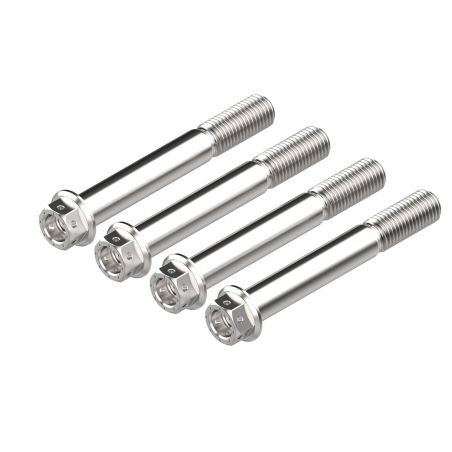 PRN017546-10 Kawasaki Ninja 1100SX Performance 2025+ Viti pinza freno Evotech-performance