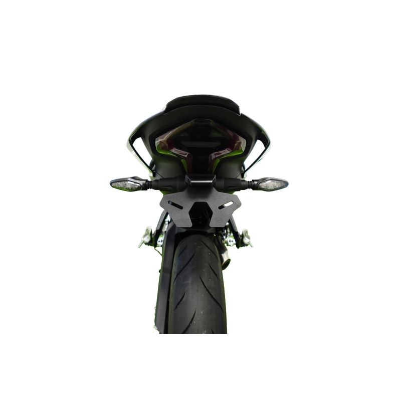 CFMoto 450SR S 2024+ Porta Targa