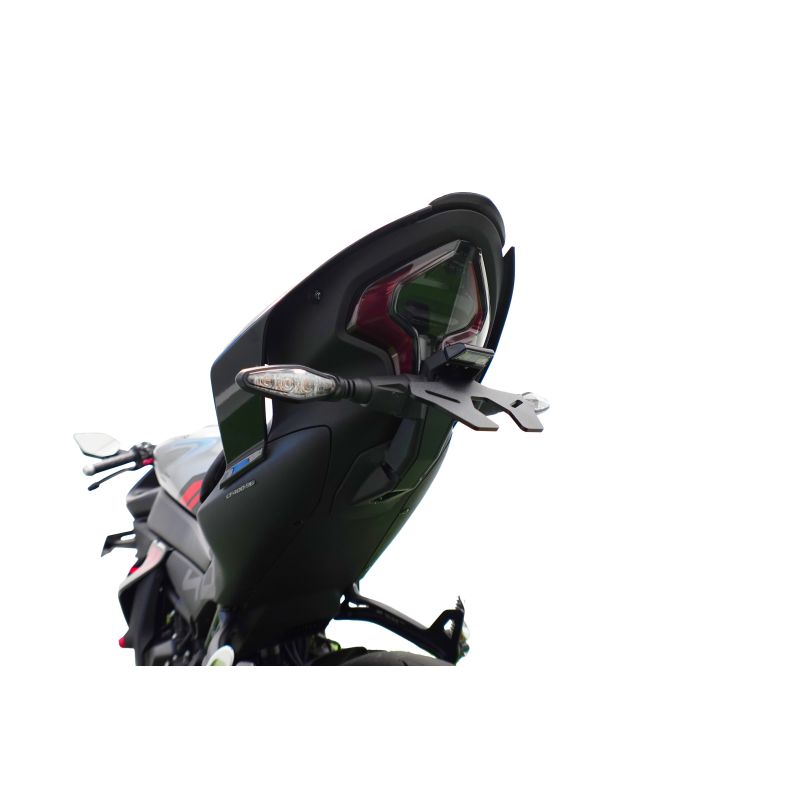 CFMoto 450NK 2024+ Porta Targa