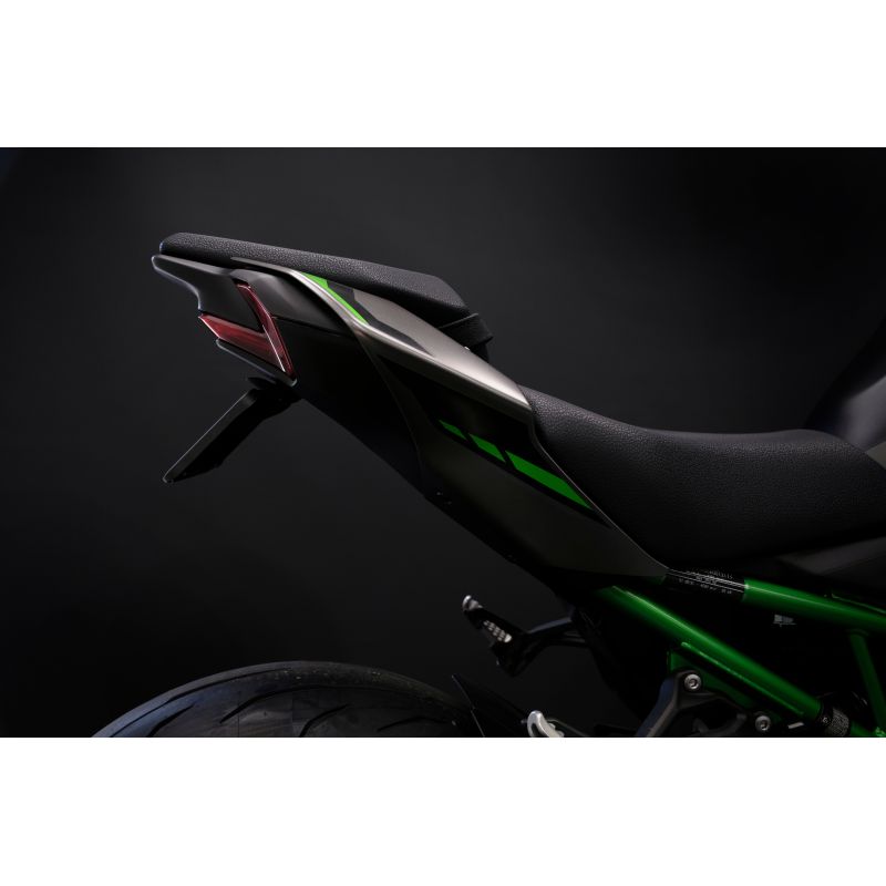 Kawasaki Z900 2025+ Porta Targa