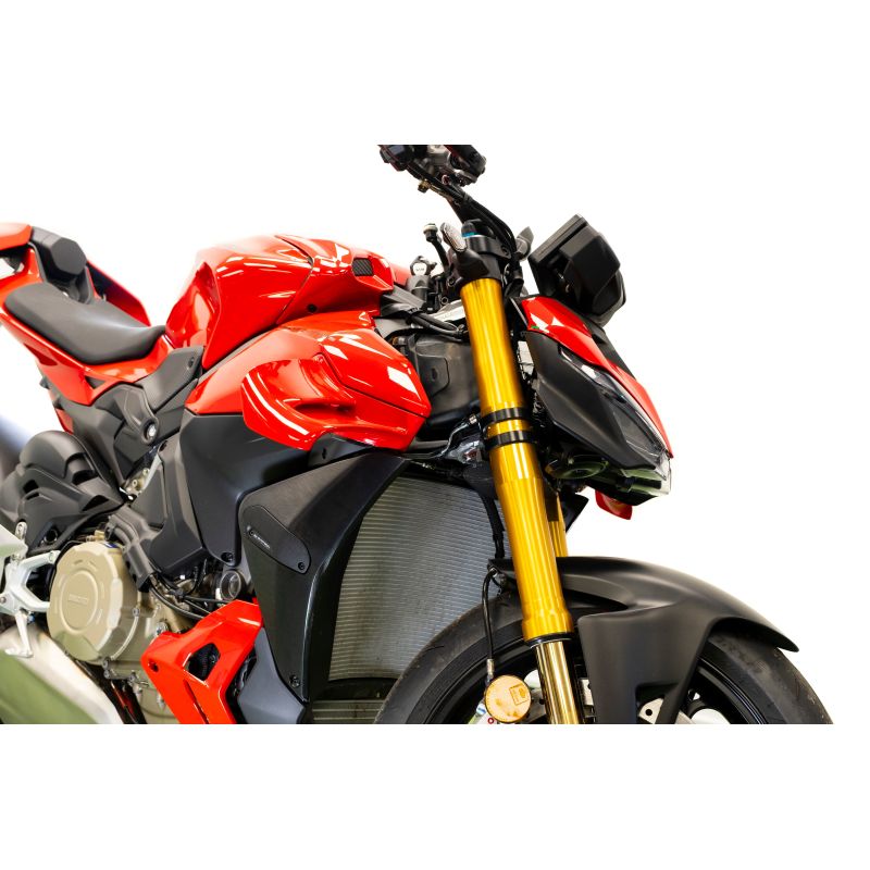Ducati Streetfighter V4 S 2025+ Porta Targa