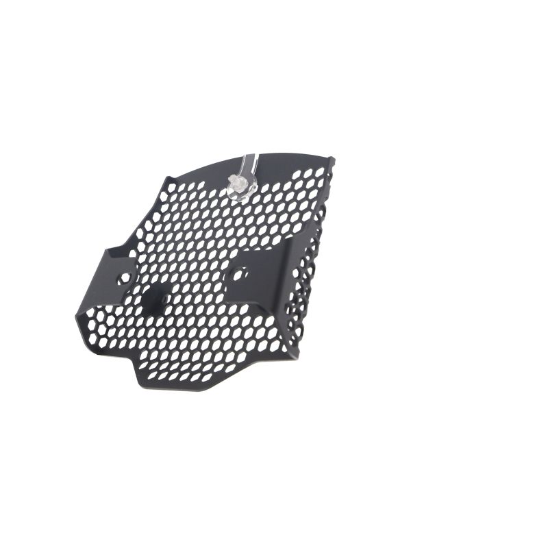 Triumph Speed Triple RS 2025+ Protezioni Caduta