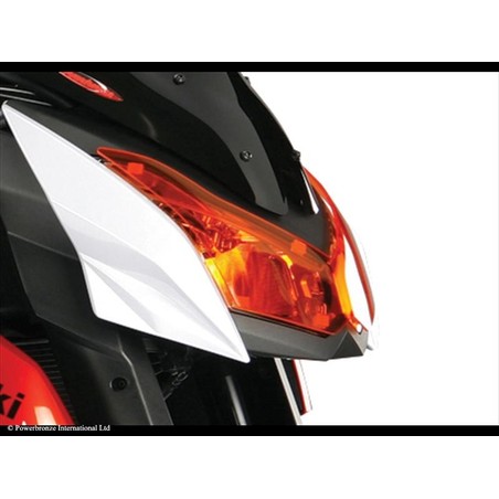 Lente coprifaro KAWASAKI Z 1000 1000 2010 2013