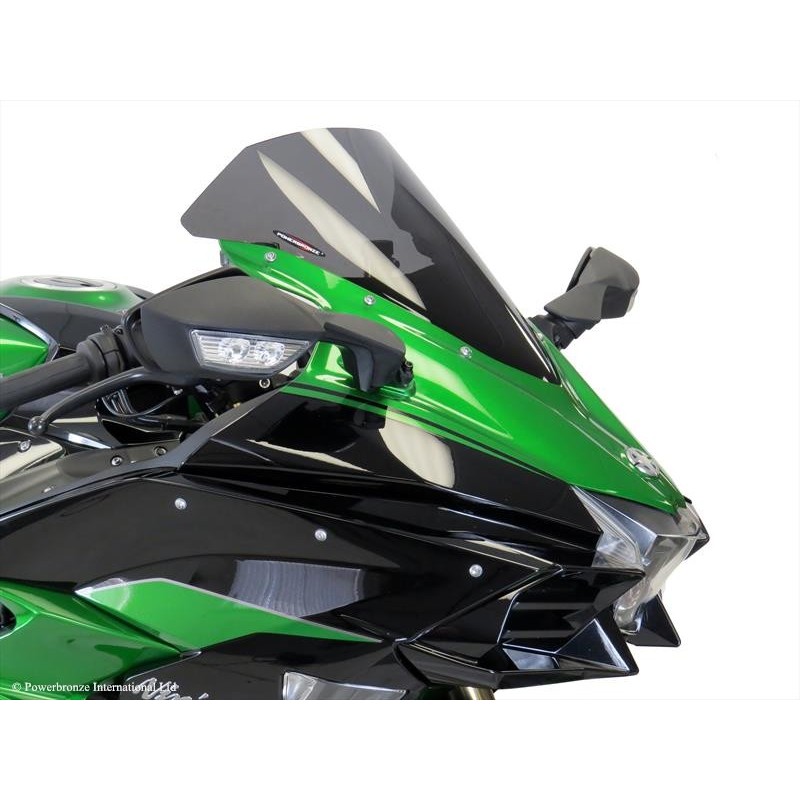 Cupolino Standard KAWASAKI Ninja H2 SX SE 1000 2018 2022