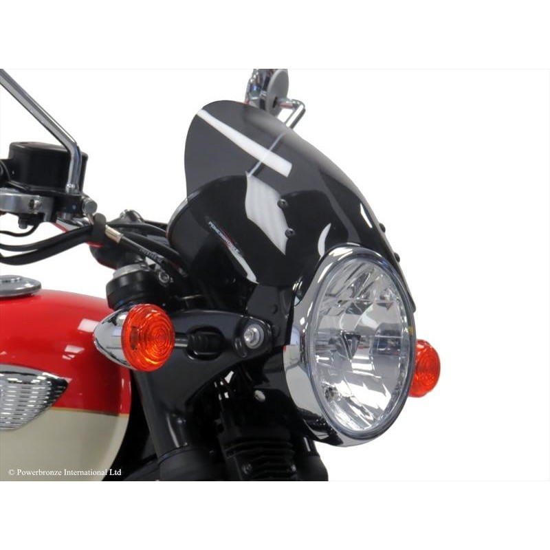 Cupolino Naked - basso TRIUMPH T100 865 2008 2015