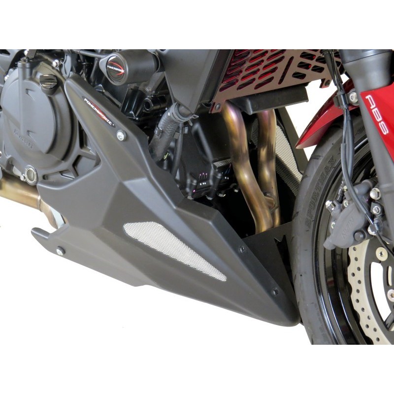 Puntale Motore in ABS KAWASAKI Z 500 SE 500 2024 2025