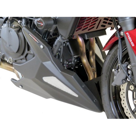 Puntale Motore in ABS KAWASAKI Z 500 SE 500 2024 2025