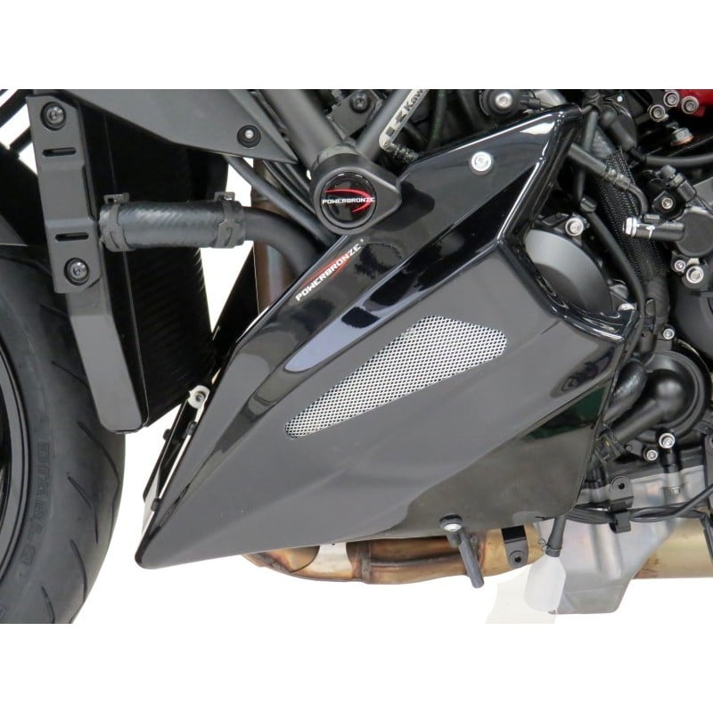 Puntale Motore in ABS KAWASAKI Z H2 SE 1000 2020 2025
