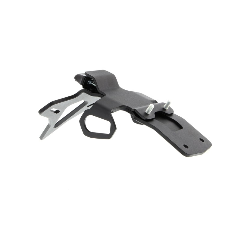 Kawasaki Ninja 650 40th Anniversary Edition 2024+ Porta Targa