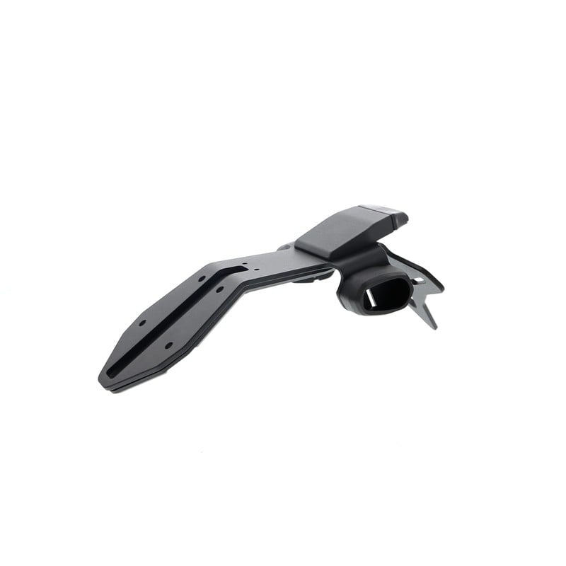 Kawasaki Ninja ZX-10R 40th Anniversary Edition 2024+ Porta Targa