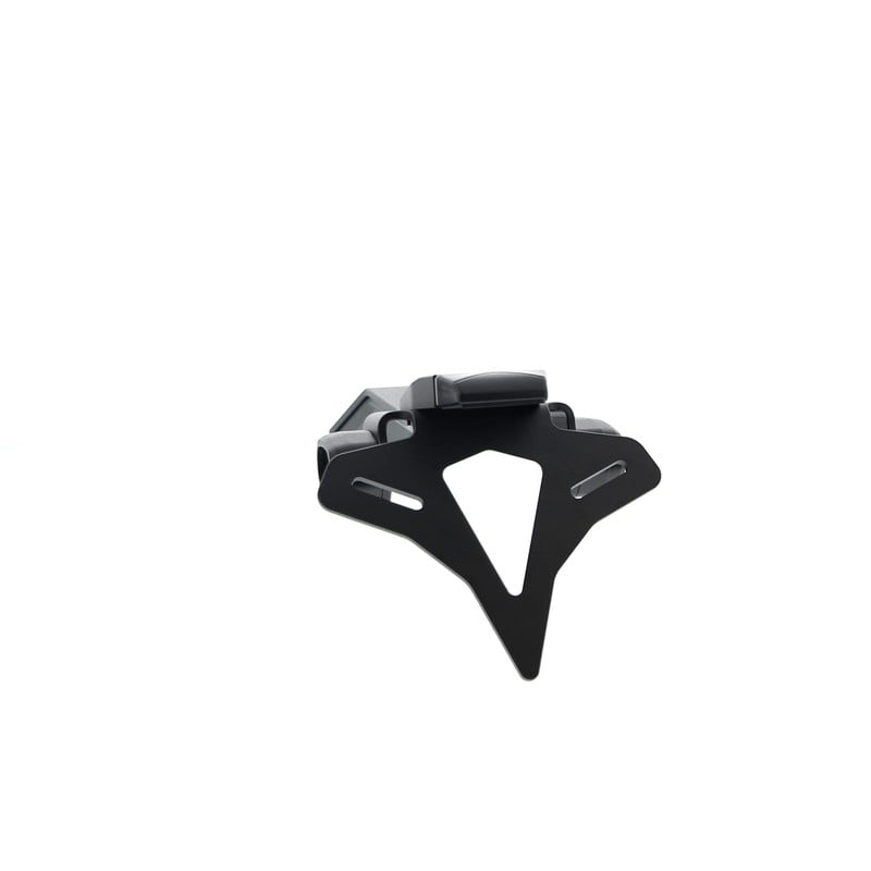 Kawasaki Ninja ZX-10R 40th Anniversary Edition 2024+ Porta Targa