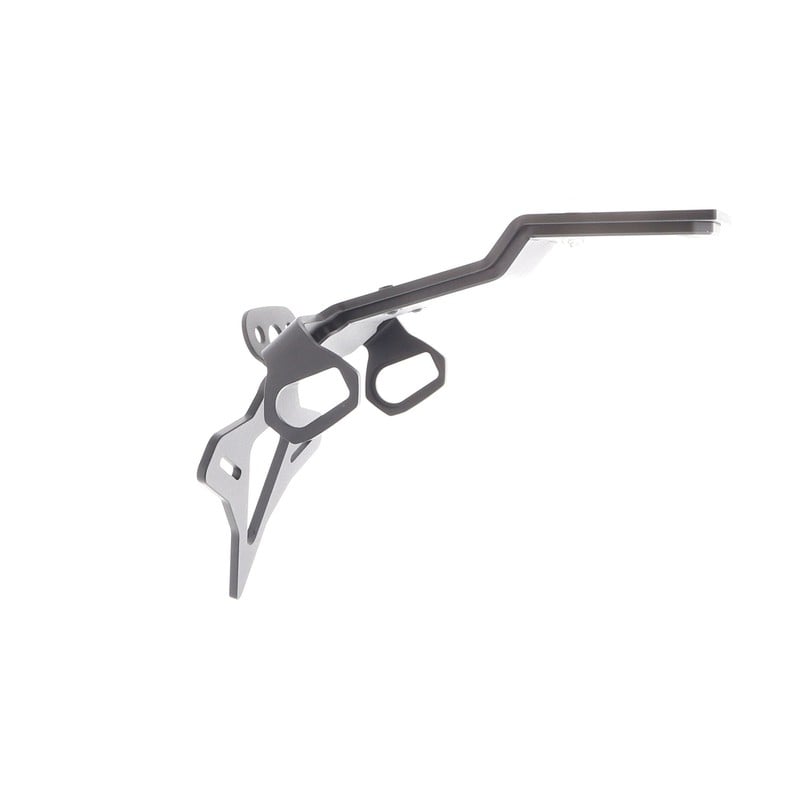 Kawasaki Ninja 1000SX 40th Anniversary Edition 2024+ Porta Targa