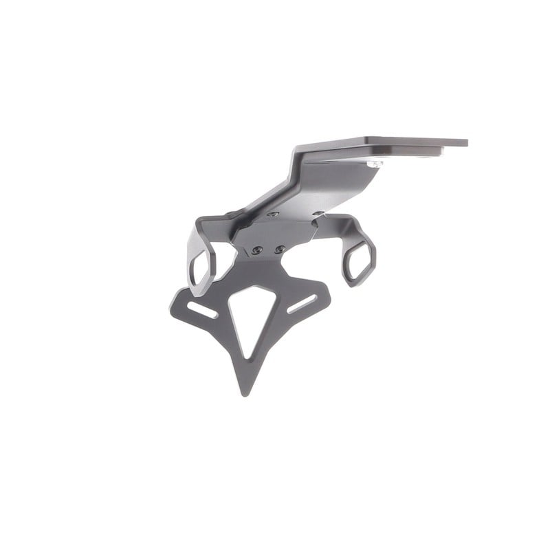 Kawasaki Ninja 1000SX 40th Anniversary Edition 2024+ Porta Targa