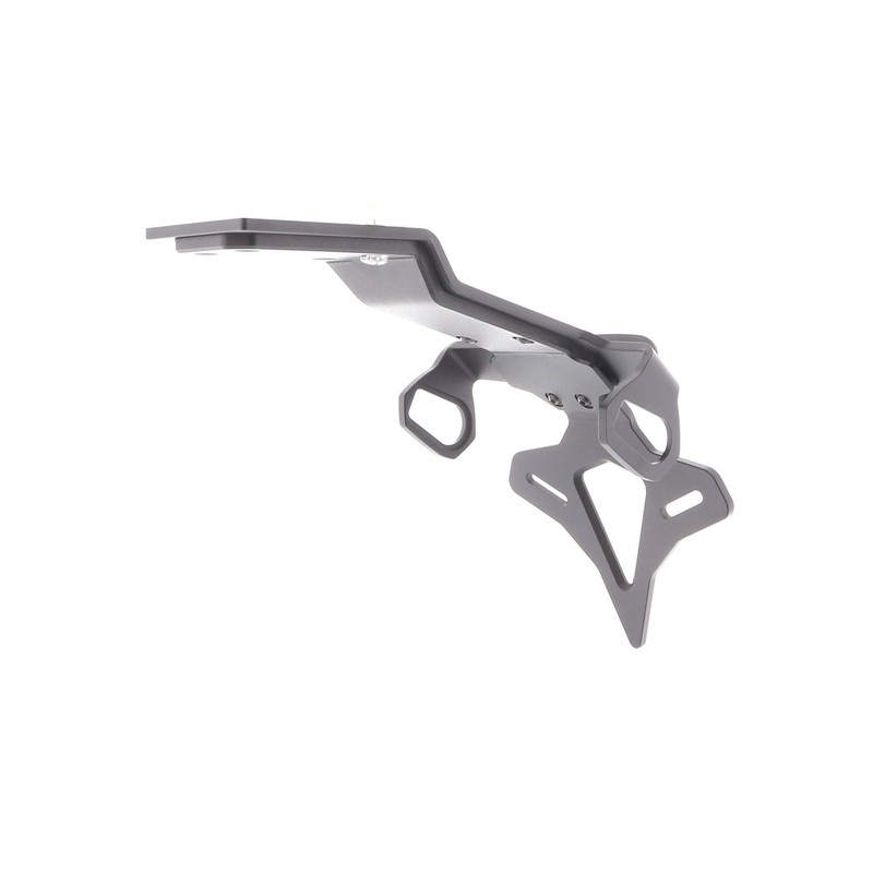 Kawasaki Ninja 1000SX 40th Anniversary Edition 2024+ Porta Targa