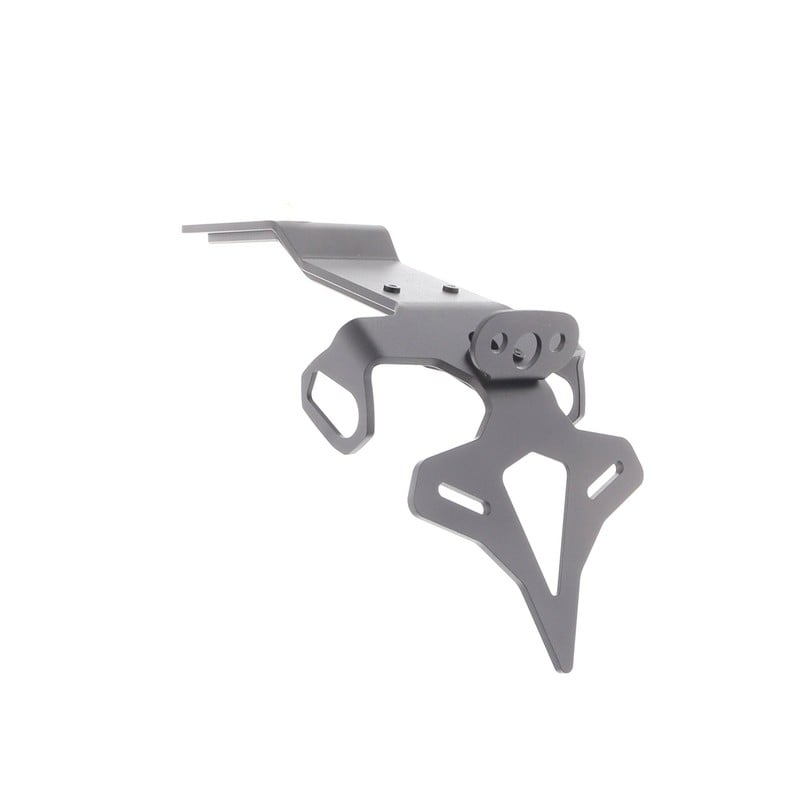 Kawasaki Ninja 1000SX 40th Anniversary Edition 2024+ Porta Targa