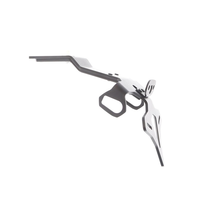 Kawasaki Ninja 1000SX 40th Anniversary Edition 2024+ Porta Targa