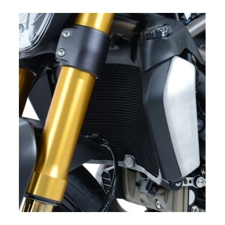 Griglia Radiatore Acqua - finitura argento DUCATI Hypermotard 950 RVE 950 2022 2025