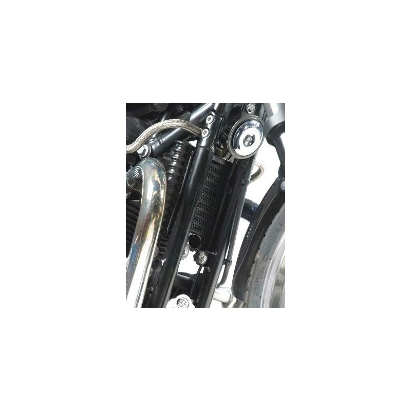 Griglia Radiatore Olio TRIUMPH Thruxton 865 865 2008 2015