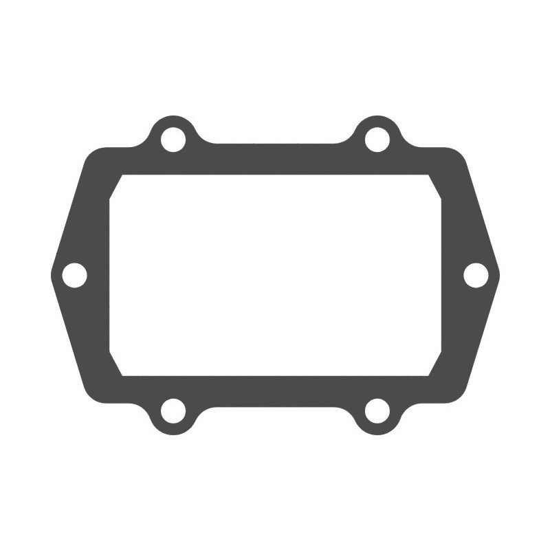 V-FORCE Valvola lamellare Guarnizione valvola lamellare ARCTIC CAT Riot 858 SNO Pro 858 2025 2026