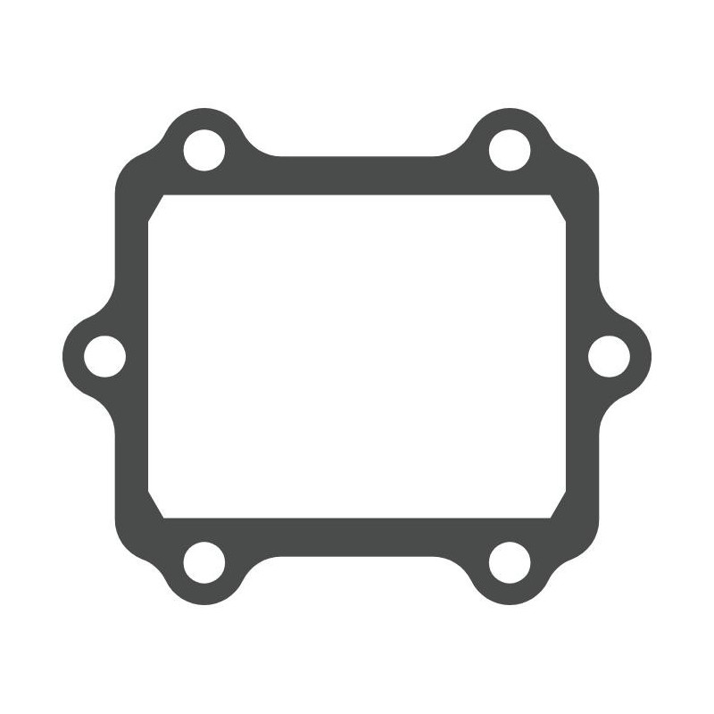 V-FORCE Valvola lamellare Guarnizione valvola lamellare ARCTIC CAT ZR 600 600 2000 2002