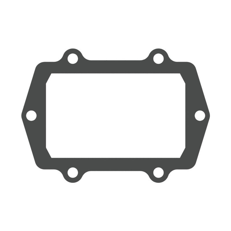 V-FORCE Valvola lamellare Guarnizione valvola lamellare ARCTIC CAT ZR 8000 800 2014 2017