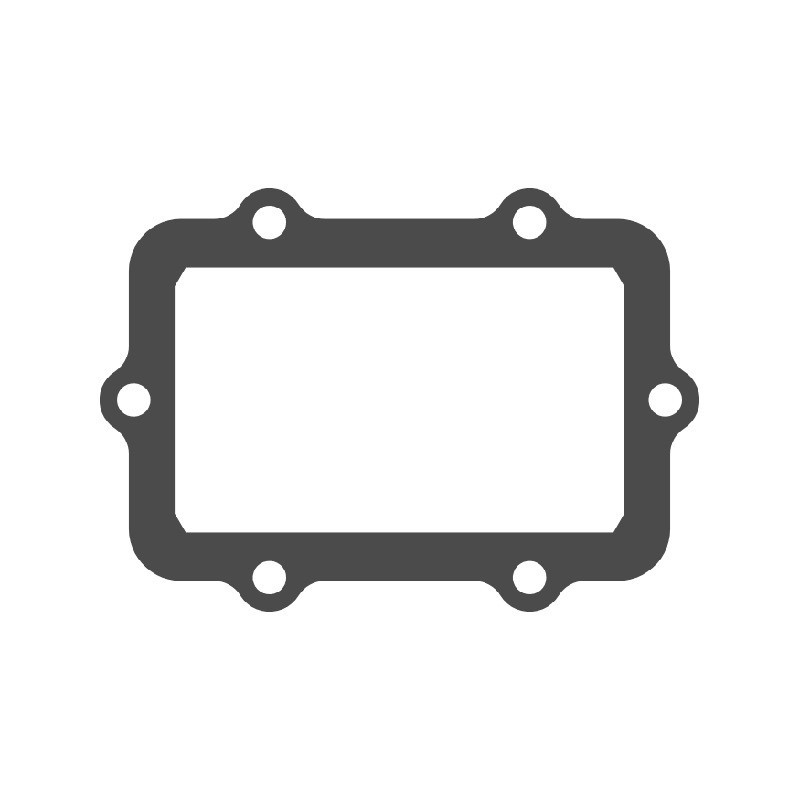 V-FORCE Valvola lamellare Guarnizione valvola lamellare SKI-DOO MXZ Adrenaline W BLIZZARD 850 E TEC 850 2024 2026