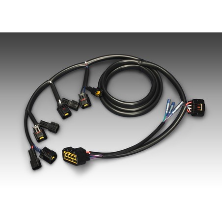 Accensione Dyna ARC-2 - kit cablaggi UNIVERSALE
